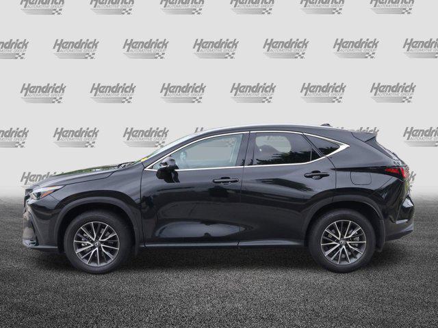 2025 Lexus NX Premium
