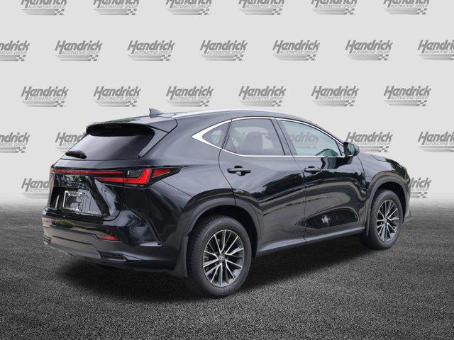 2025 Lexus NX Premium