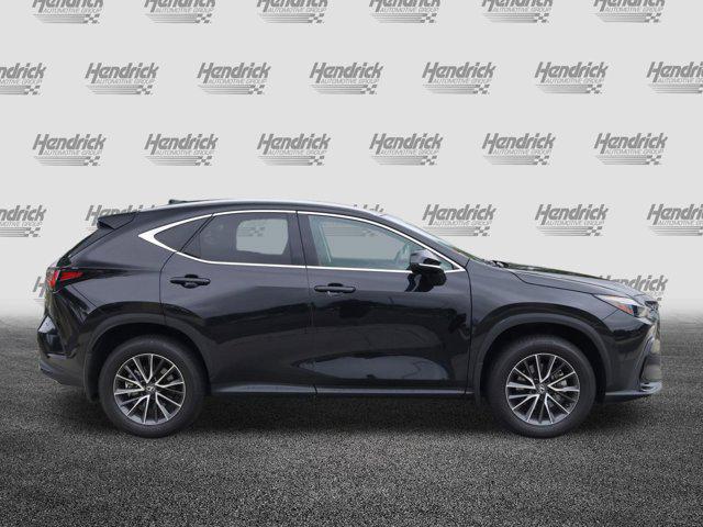 2025 Lexus NX Premium