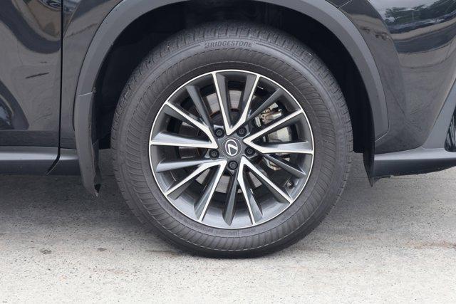 2025 Lexus NX Premium