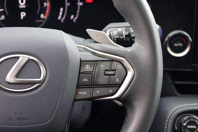 2025 Lexus NX Premium