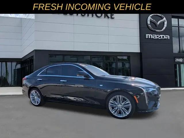 2025 Cadillac CT4 Premium Luxury RWD for sale in Tampa, FL