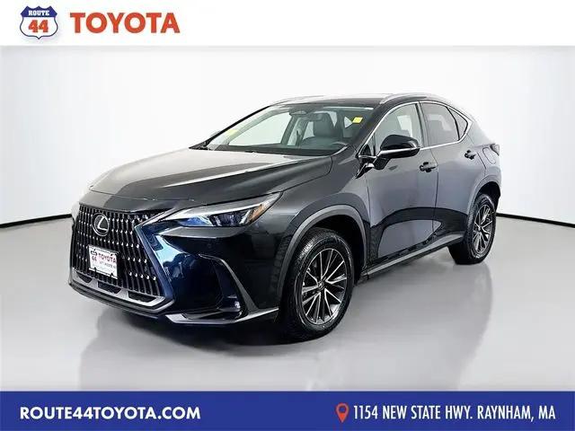 2023 Lexus NX 350 Premium for sale in Raynham, MA