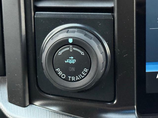 2020 Ford F-350 Platinum