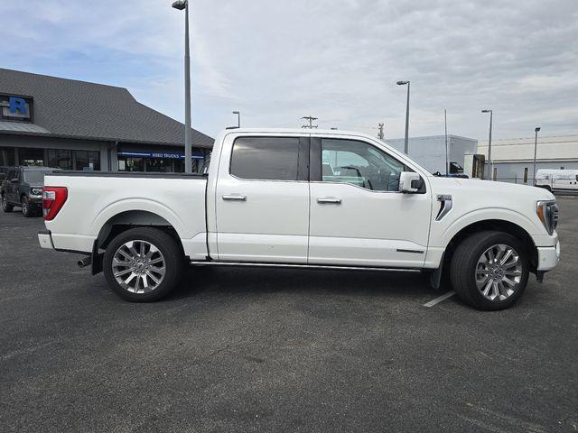 2023 Ford F-150 Limited