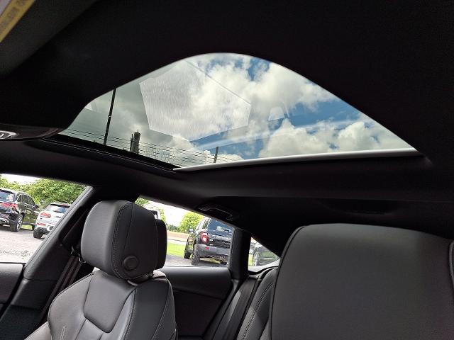 2024 Audi A5 Sportback Premium Plus 45 TFSI quattro S tronic