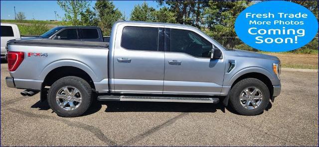 2023 Ford F-150 XLT for sale in North Branch, MN