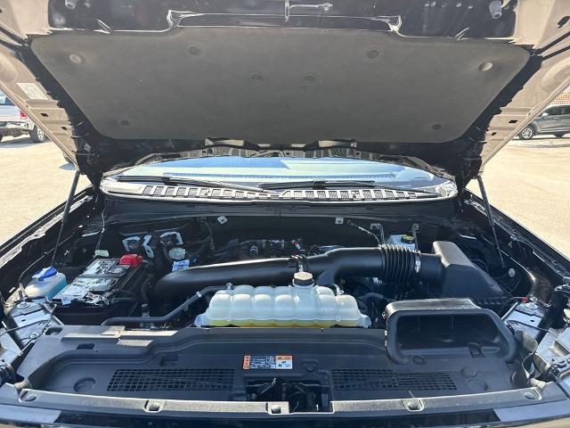2025 Ford Expedition Active MAX
