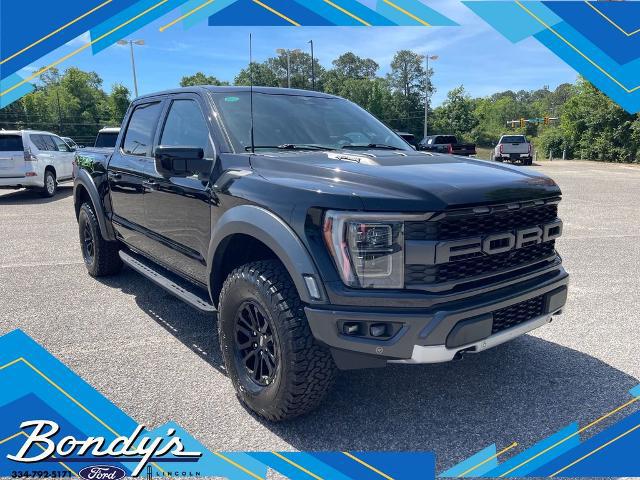 2023 Ford F-150 Raptor for sale in Dothan, AL