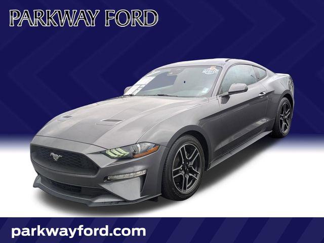 2022 Ford Mustang EcoBoost Fastback for sale in Winston Salem, NC