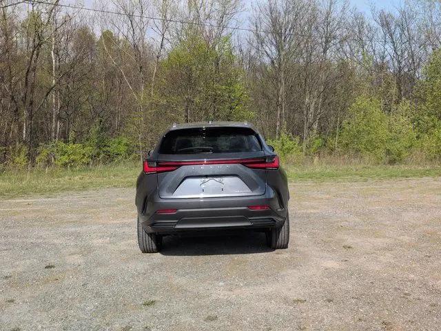 2026 Lexus NX Luxury