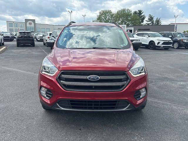2019 Ford Escape SEL 2019 Ford Escape SEL