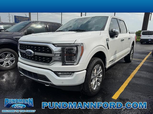 2023 Ford F-150 Platinum for sale in Saint Charles, MO