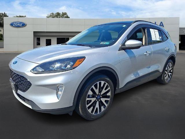 2020 Ford Escape SEL for sale in BEAR CRK TWP, PA