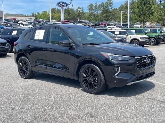 2023 Ford Escape ST-Line Elite for sale in Canton, NC
