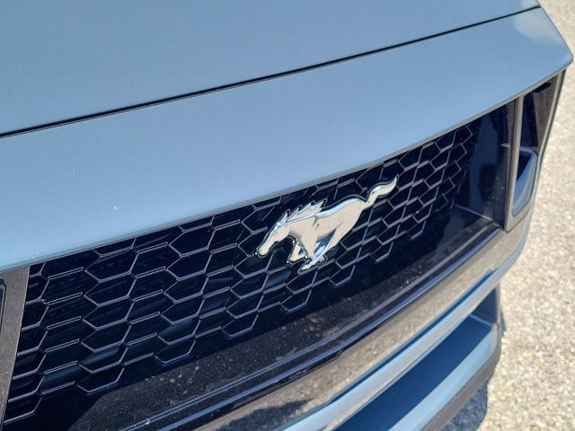 2025 Ford Mustang GT Premium Fastback