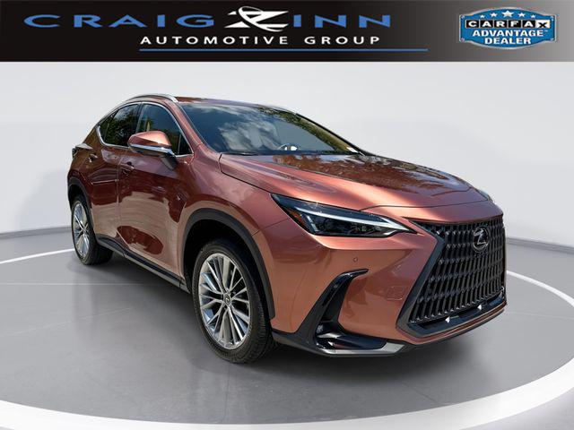 2025 Lexus NX 350 Premium for sale in Hollywood, FL