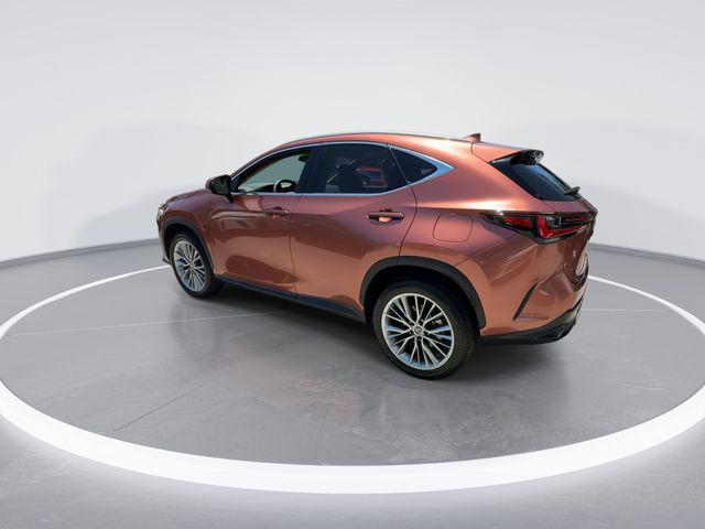 2025 Lexus NX 350 Premium