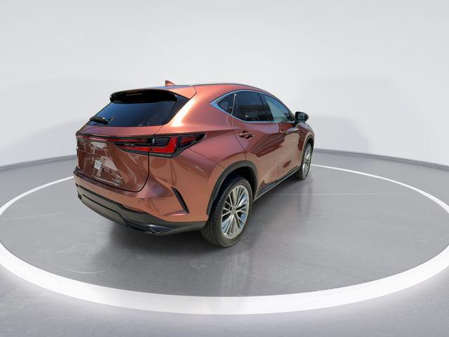 2025 Lexus NX 350 Premium