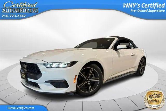 2024 Ford Mustang EcoBoost Premium Convertible for sale in Grand Island, NY