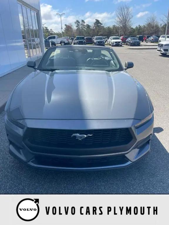 2025 Ford Mustang EcoBoost Premium Convertible for sale in Plymouth, MA