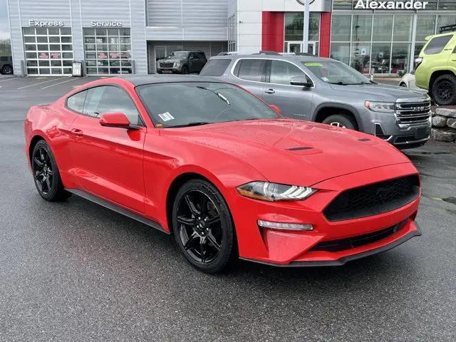 2019 Ford Mustang EcoBoost for sale in Muncy, PA