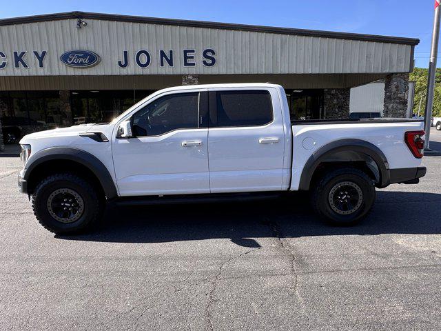 2022 Ford F-150 Raptor for sale in Hayesville, NC