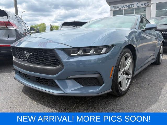 2024 Ford Mustang EcoBoost Premium Fastback for sale in Royal Oak, MI