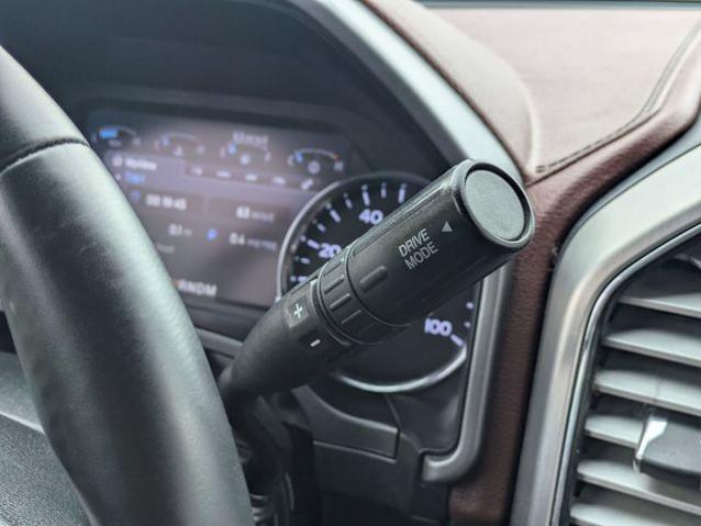 2021 Ford F-250 Platinum