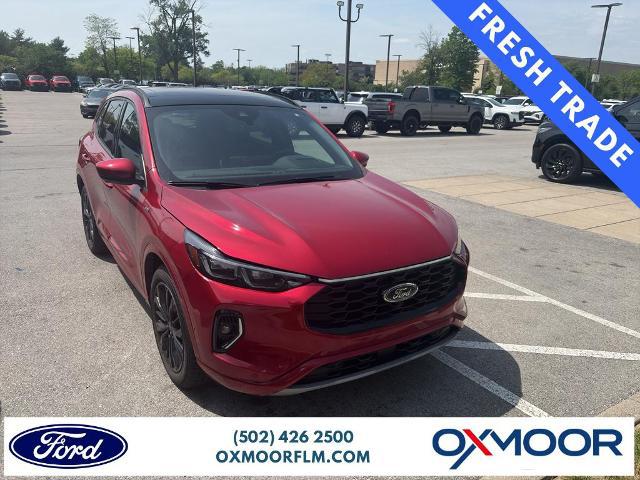 2023 Ford Escape ST-Line Elite for sale in Louisville, KY