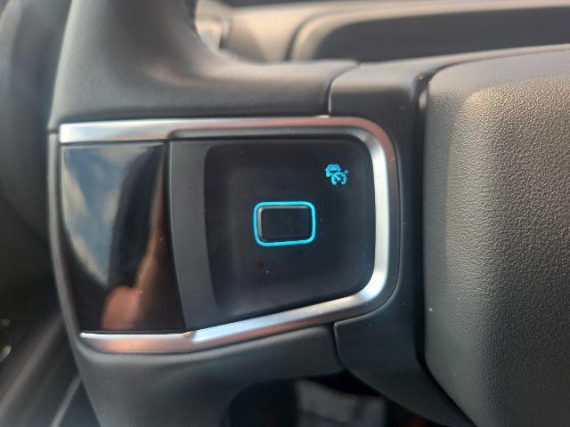 2025 Ford Expedition Active MAX