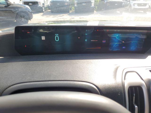 2025 Ford Expedition Active MAX