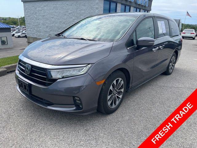 2023 Honda Odyssey EX-L for sale in Alexandria, KY