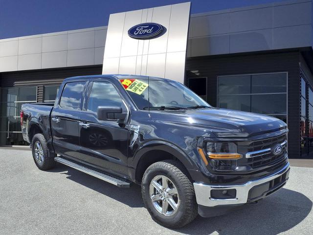 2025 Ford F-150 XLT for sale in Bowling Green, KY