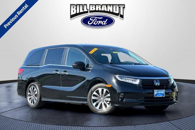 2024 Honda Odyssey EX-L for sale in Brentwood, CA