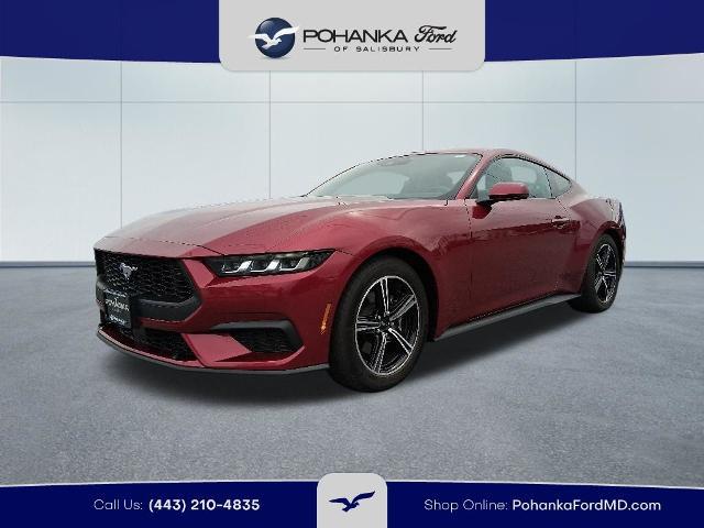 2025 Ford Mustang EcoBoost Premium Fastback for sale in Salisbury, MD
