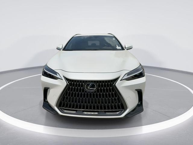2025 Lexus NX 350h Premium