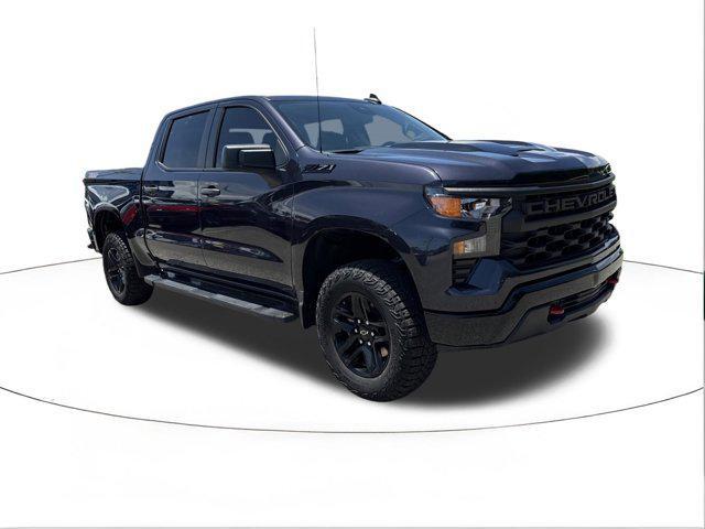 2024 Chevrolet Silverado 1500 4WD Crew Cab Short Bed Custom Trail Boss for sale in MOBILE, AL
