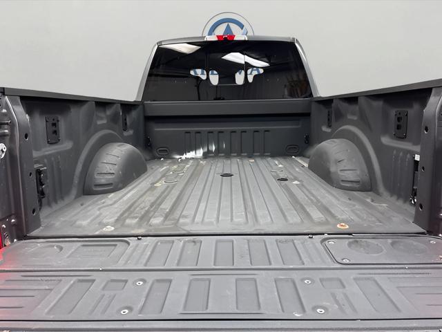 2024 Ford F-250 Platinum