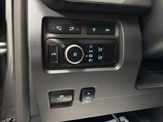 2024 Ford F-250 Platinum