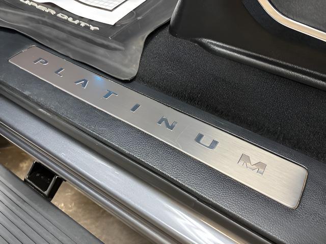 2024 Ford F-250 Platinum
