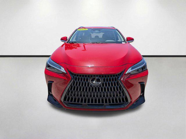 2025 Lexus NX Premium