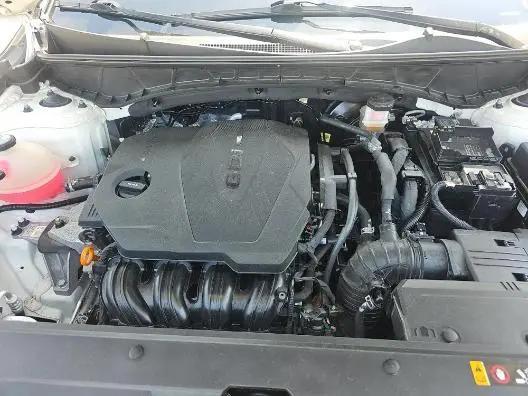 2024 Hyundai Santa Cruz SEL for sale in Warsaw, IN