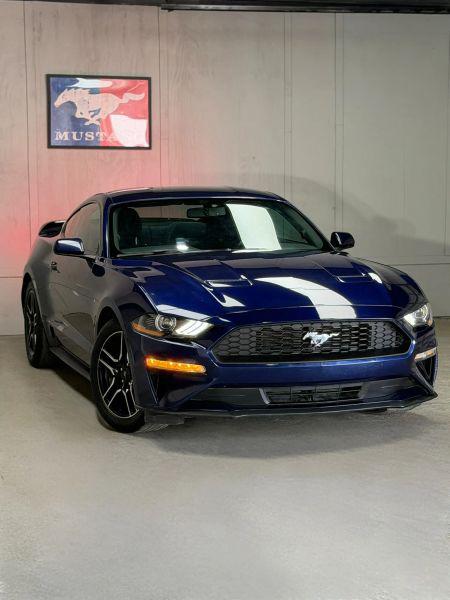 2019 Ford Mustang EcoBoost for sale in Dallas, TX