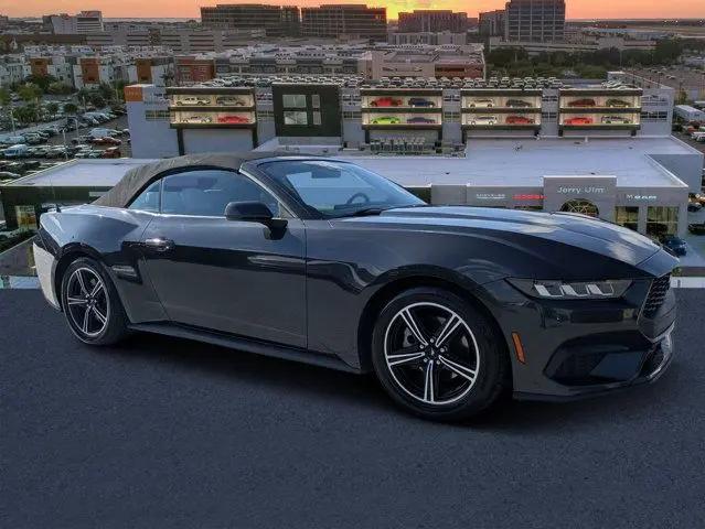 2024 Ford Mustang EcoBoost Premium Convertible for sale in Tampa, FL