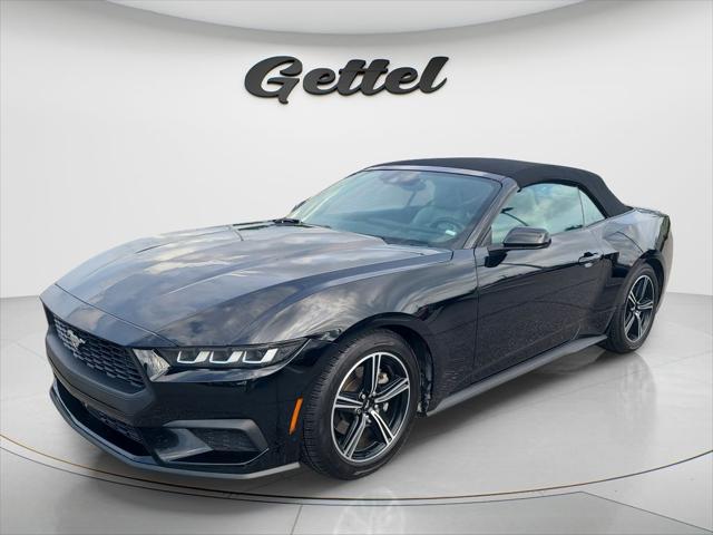 2024 Ford Mustang EcoBoost Premium Convertible for sale in PUNTA GORDA, FL
