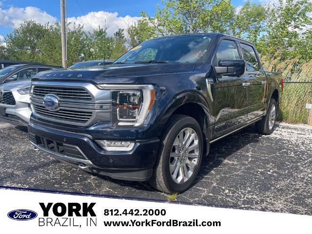 2023 Ford F-150 Limited for sale in Brazil, IN