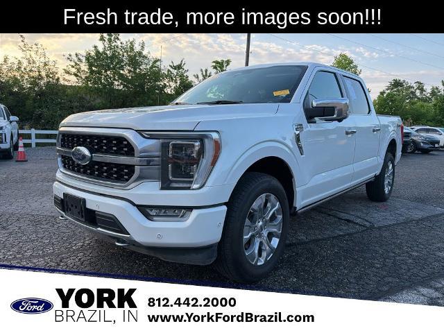 2023 Ford F-150 Platinum for sale in Brazil, IN