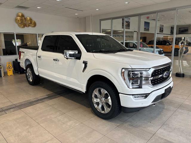 2021 Ford F-150 Platinum for sale in Greenfield, WI