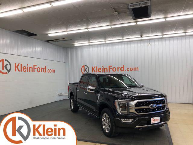 2022 Ford F-150 Platinum for sale in Winneconne, WI